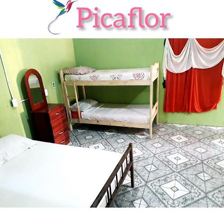 הוסטל פוארטו איגואסו Alojamiento Picaflor Iguazu מראה חיצוני תמונה
